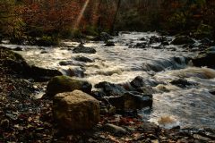 RvanEerd-NiB-ClubAvond-01-RvanEerd-20191124-124610-Canon-EOS-R-_MG_5675_Luminar4-edit