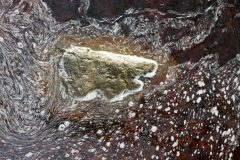 RvanEerd-NiB-ClubAvond-03-RvanEerd-20191124-144530-Canon-EOS-R-_MG_5730