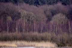 MAH_02_Landschap_DSC6876_NiB-maart-2022