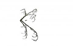 MAH_03_Tak_DSC6897_NiB-maart-2022