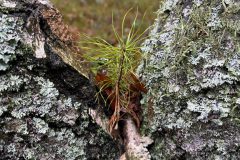 DD-IMG_5239