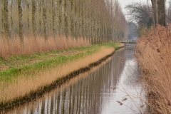 Henny-van-Bakel-fotoclub-mei-No-3-HVB_8403