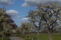 RvanEerd-NiB-ClubAvond-03-RvanEerd-20230430-162042-Canon-EOS-R-_MG_4312