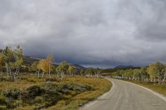 DSC-v3-_6321