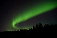 DSC-v-_7296