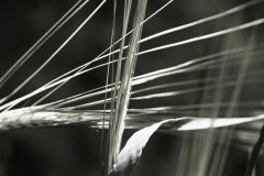 Gerry3-lijnenspel-Zwartwit-DSC01559