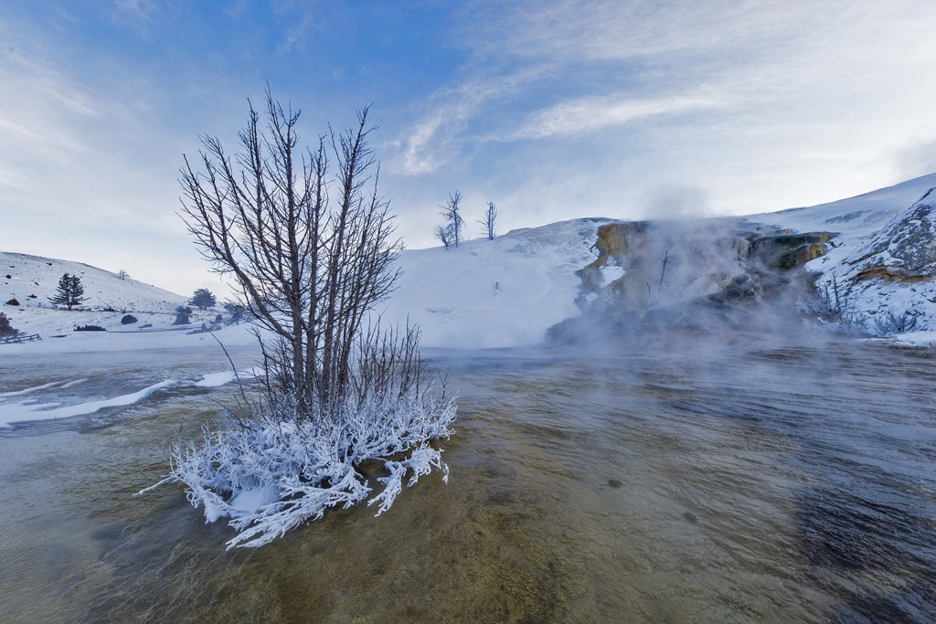 Hans van de Griend - Mammot Hot springs Yellowstone