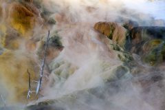 Hans van de Griend - Mammot hotsprings Yellowstone
