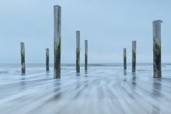 Ruud Engels - Palendorp Petten