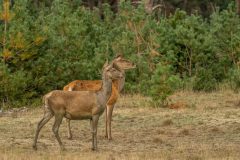 HV-20230912-1042-bewerkt