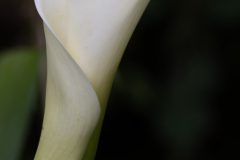 Rene-Steenbakkers_Natuur-in-Beeld_35