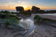 Rene-Steenbakkers_Natuur-in-Beeld_37