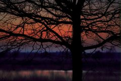 jan-albert-hellings-2-zonsondergang-Melaniedreef