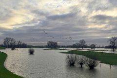 HVX-IMG_7708c
