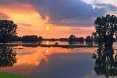 HVX-IMG_9818c