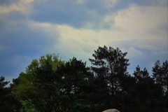 jan-albert-hellings-2024-05-03-02-wolken-breken-open-1920p-kopie