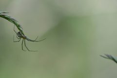GES_v3250