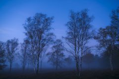 Hans van de Griendt-Kampina-8-11-2020-DSC_1975