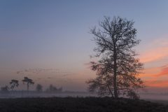 Hans van de Griendt-Kampina-8-11-2020-DSC_2016