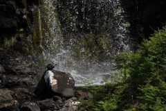 waterval-en-varen-GVM03486