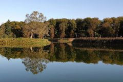 Denemarken-Jeagerborg-Spiegeling-DSC02922