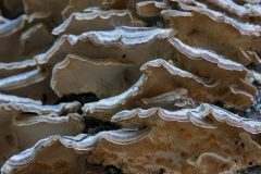 Structuur-05
