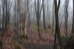 landschap-2