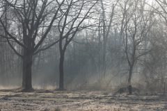 landschap-4