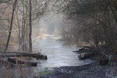 landschap-5