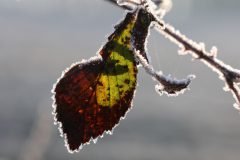winter-1