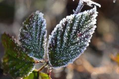 winter-2