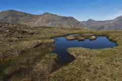 03-05-2025-Schotland-Berg-Rannoch-Moor_N629941