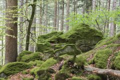 05-05-2025-Luxemburg-bossen-Rotsen_N629016