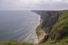 05-2025-Schotland-Bempton_N621407
