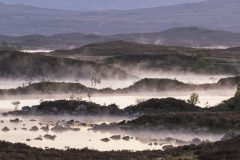 05-2025-Schotland-Rannach-Moor-Mist_N629736