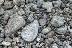 10-05-2025-Schotland-Stenen-Strand_N620556