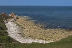 1920-05-205-Schotland-Bempton-Landschap_N621280