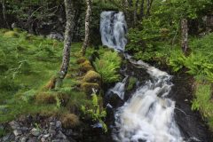 24-05-2025-Schotland-Waterval_N621132