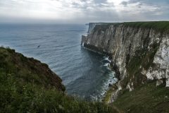 35-05-205-Schotland-Bempton-Landschap_N621317