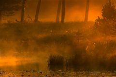 45-kampina-2007_DSC0006