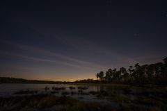 47-Kampina-4-1-15_5HG6424