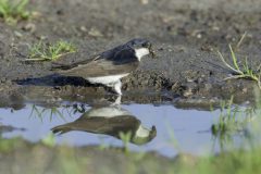 B001-HV-20090524-0012