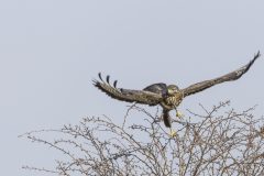 B003-HV-20140308-121120-0207-bewerkt