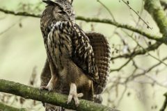 B005-HV-20150404-170302-0250