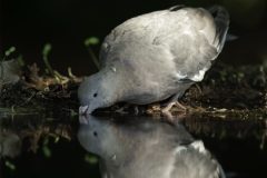 B015-HV-20130802-101949-0046