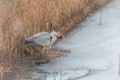 B08-HV-20180307-0050