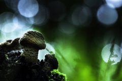C005-HV-20171014-122533-0139