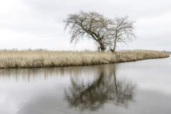 D001-HV-20090125-0006-Verbeterd