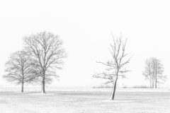 F02-HV-20170208-104045-0051-bewerkt-bewerkt
