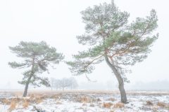 F04-HV-20181216-0007